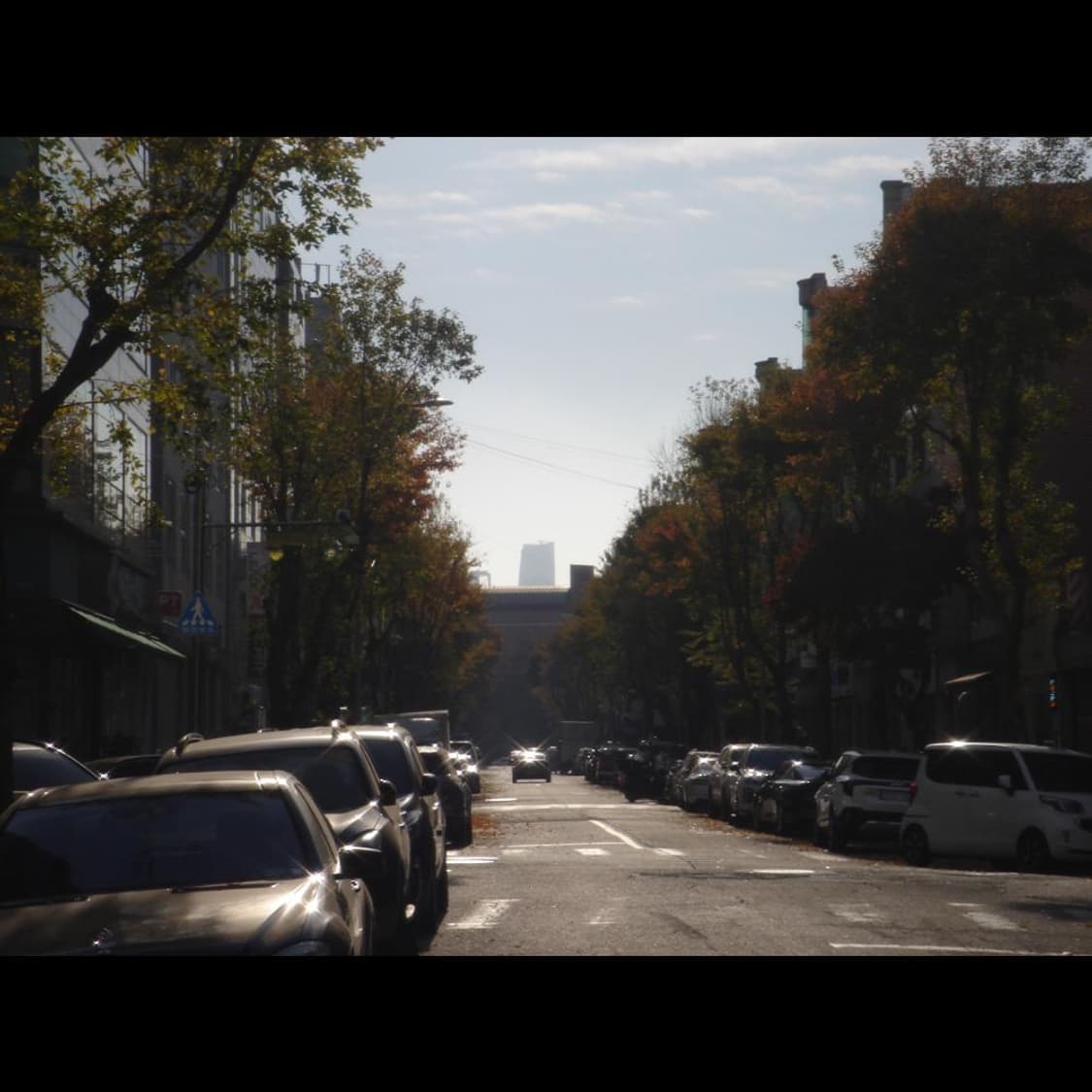 소니 DSC-T5  로즈 골드 메탈릭 빈티지 디카 디지털카메라 상품이미지2