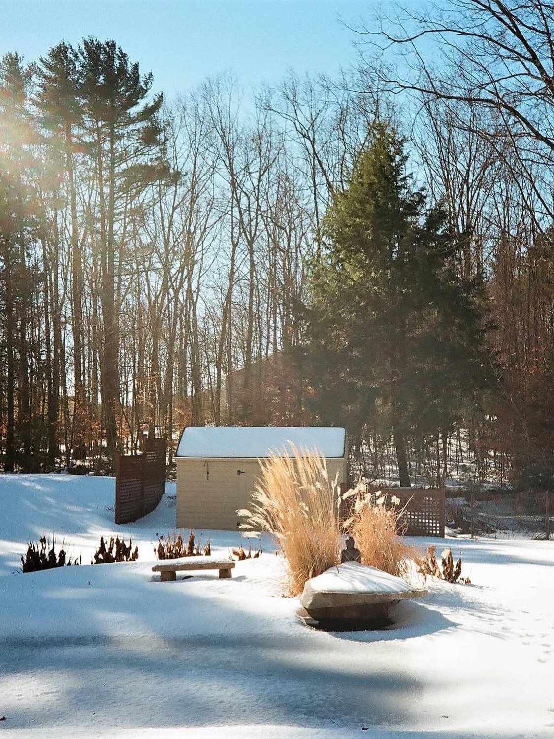 올림푸스 오 프로덕트 한정판 상품이미지4