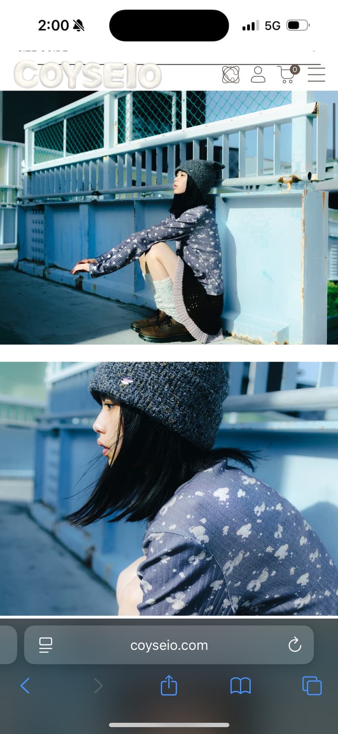 배송전 배송지 변경 가능) 와이드캣 고양이 비니 그레이 상품이미지2