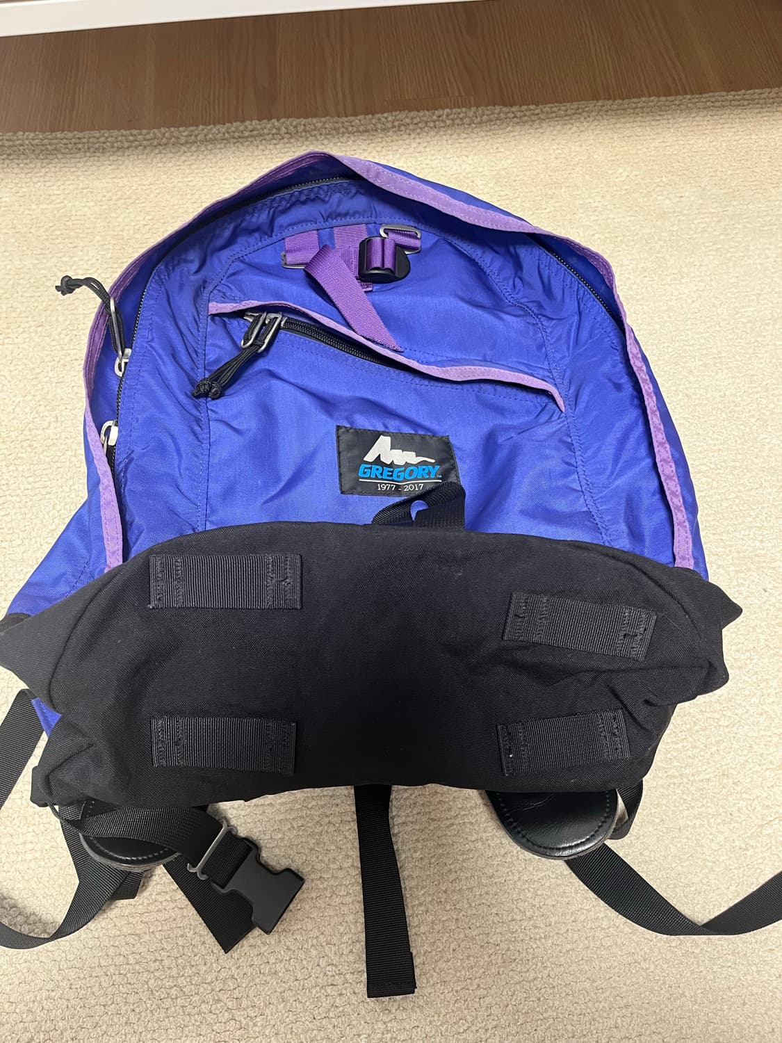 그레고리 gregory daypack 데이팩 구로고 구형로고 빔즈 상품이미지3