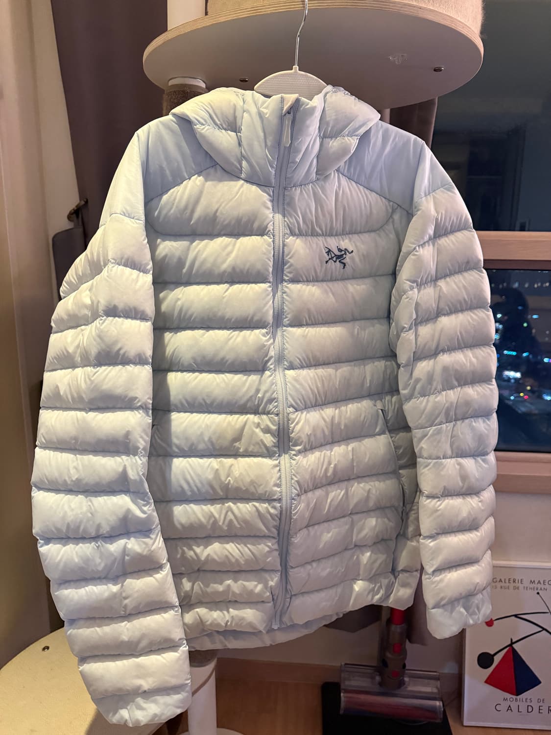 아크테릭스 세륨 데이브레이크 [L] 상품이미지1