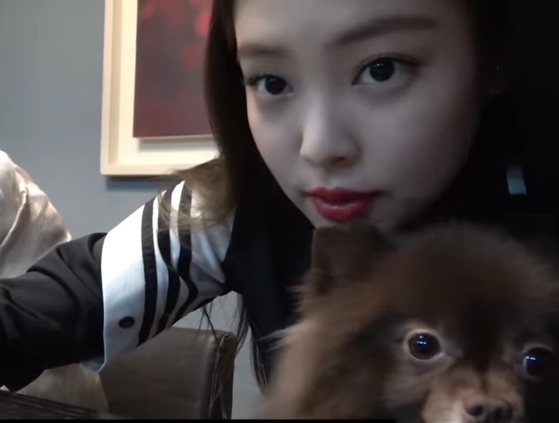아디다스 트택탑 져지 제니 착용 극레어템 상품이미지2