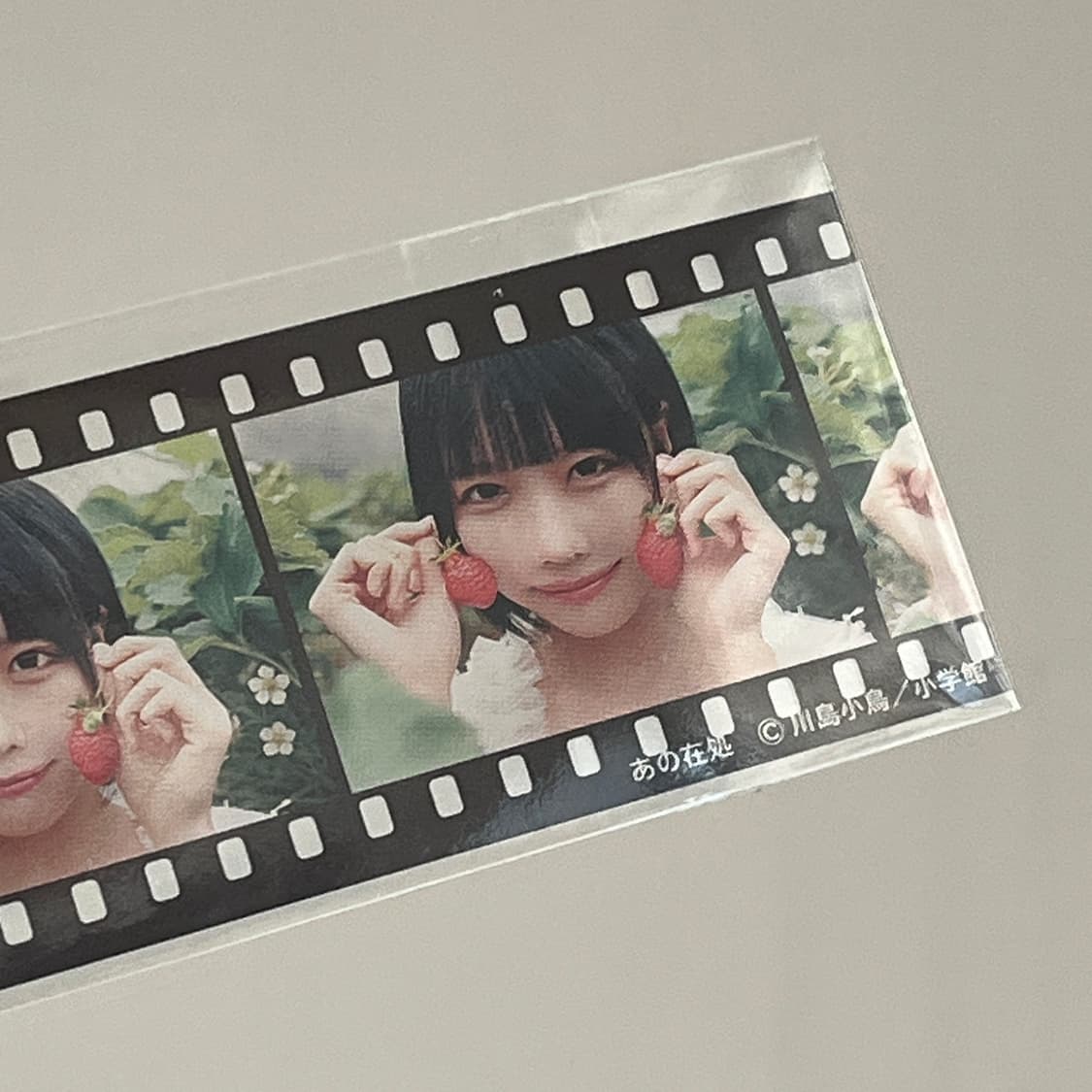 아노 ano 아노쨩 사진집 한정판 특전 필름 책갈피 상품이미지1