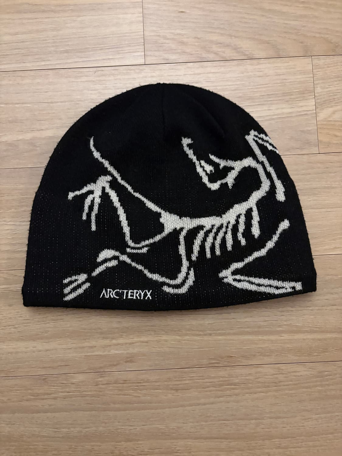 아크테릭스 비니 상품이미지1