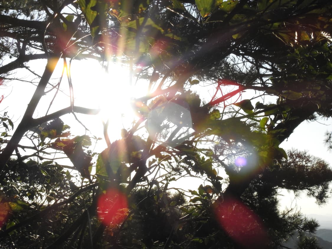 소니 사이버샷 dsc-p9디카 (빈티지 카메라) 상품이미지9