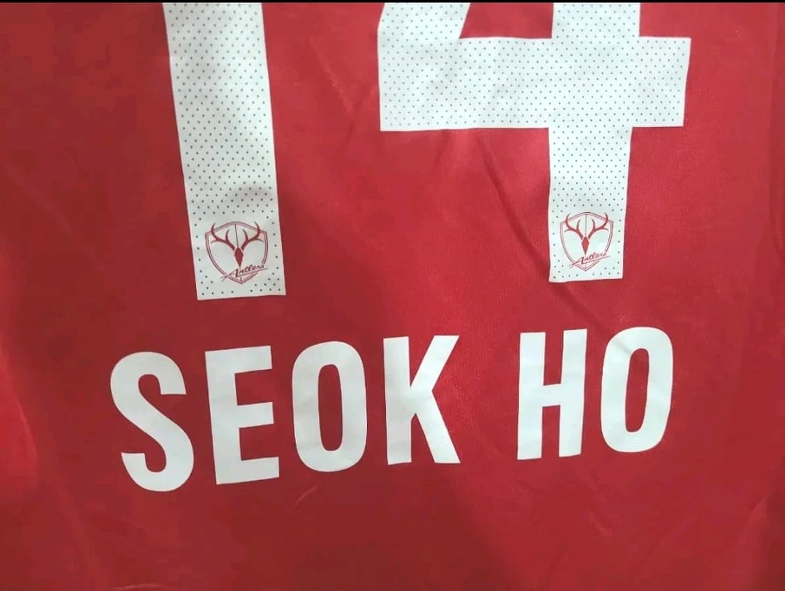 나이키 J리그 2015 가시마 앤틀러스 황석호 선수 마킹 축구져지 상품이미지7