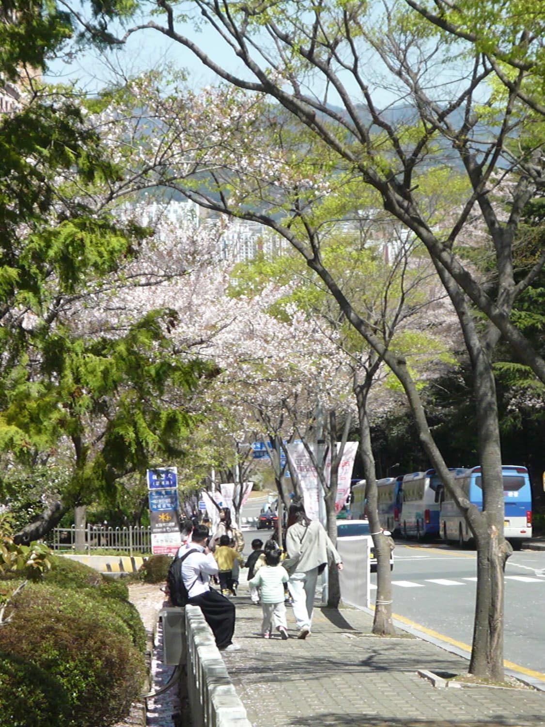 컨디션S급❗️ 작례⭕️ 파나소닉 루믹스 DMC-FS3 블랙 디지털카메라 상품이미지8