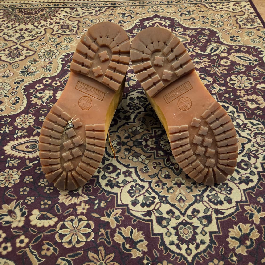 팀버랜드 6인치 us8사이즈 260-265 상품이미지6