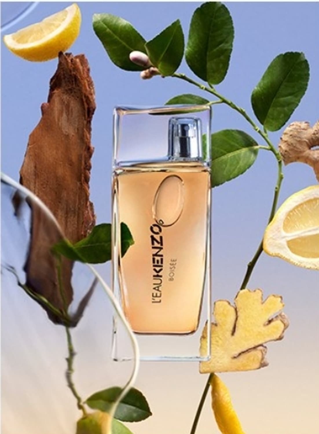 로 겐조 부아제 50ml(단종) 상품이미지2