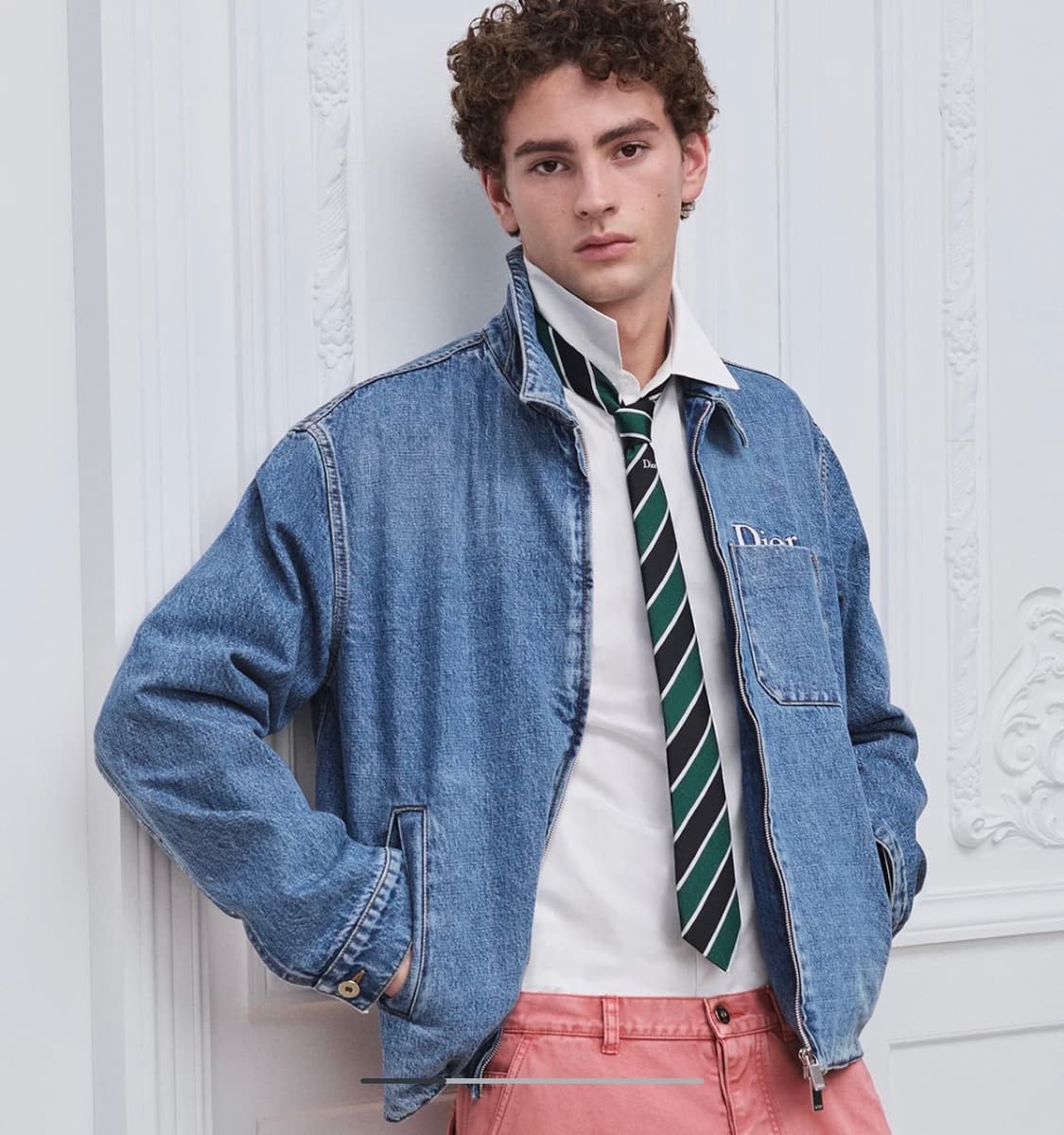 (S/54) / 디올 코튼 트윌 자켓  블루 상품이미지8