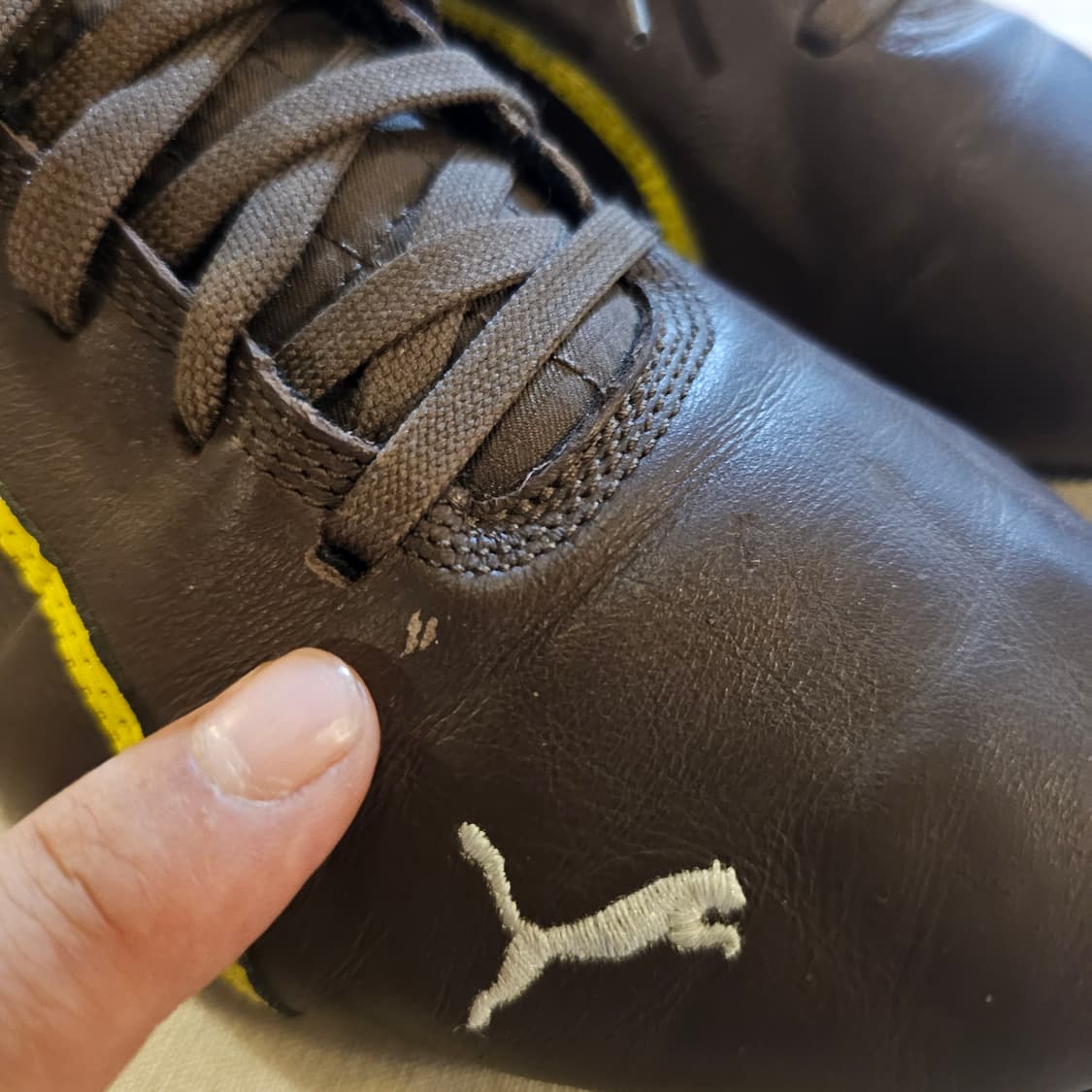 270 푸마 드리프트 캣 6  상품이미지3