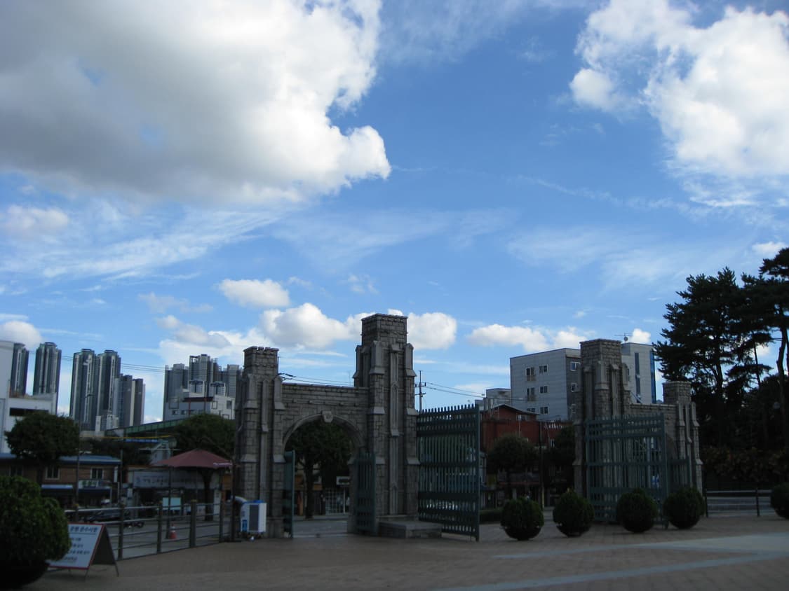 캐논 익서스 IXUS 950 / IXY 810 상품이미지9