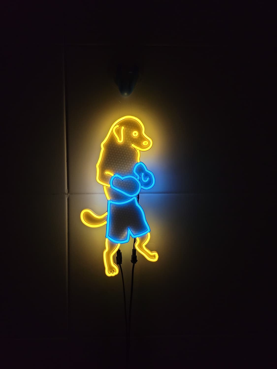 네온사인 강아지 복싱 복서 led 램프 무드등 조명 상품이미지3