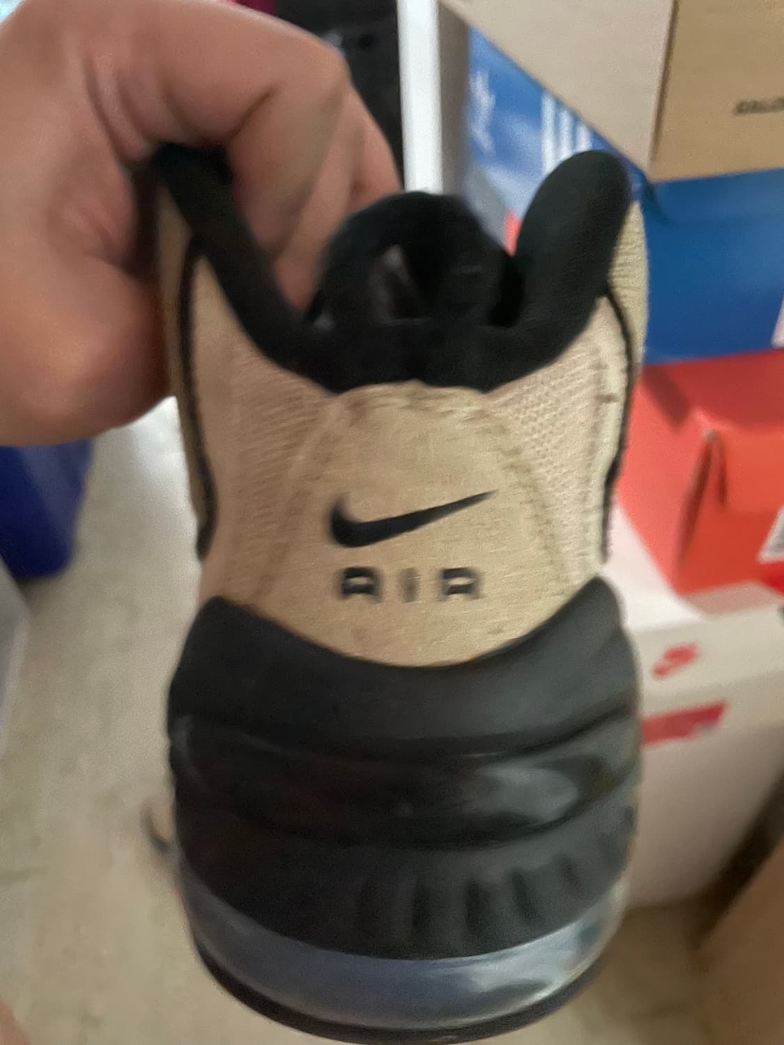 나투시 페니 라임스톤 상품이미지4