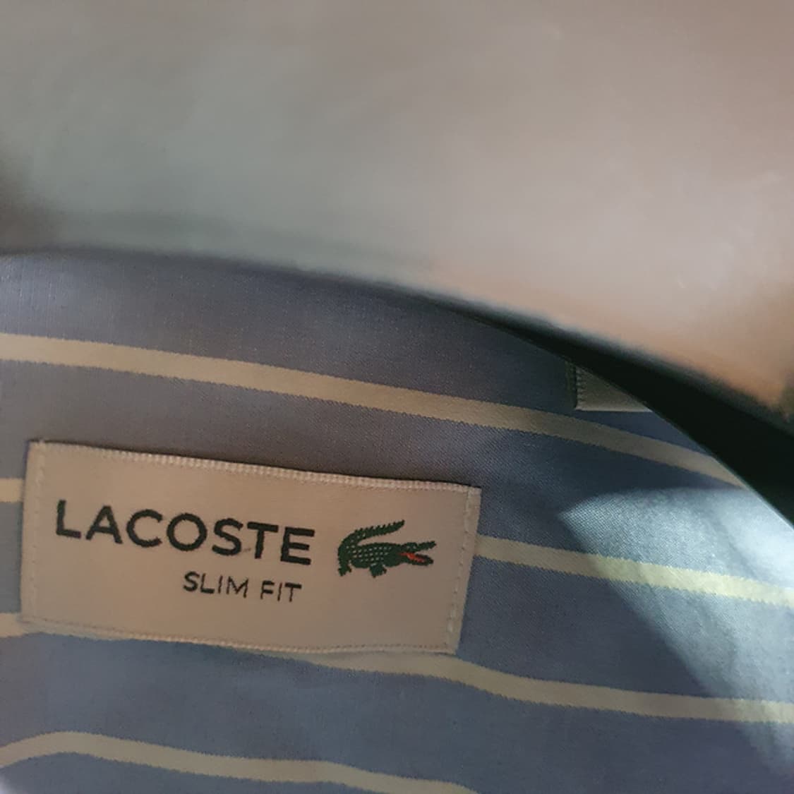 라코스테 셔츠 95 상품이미지3