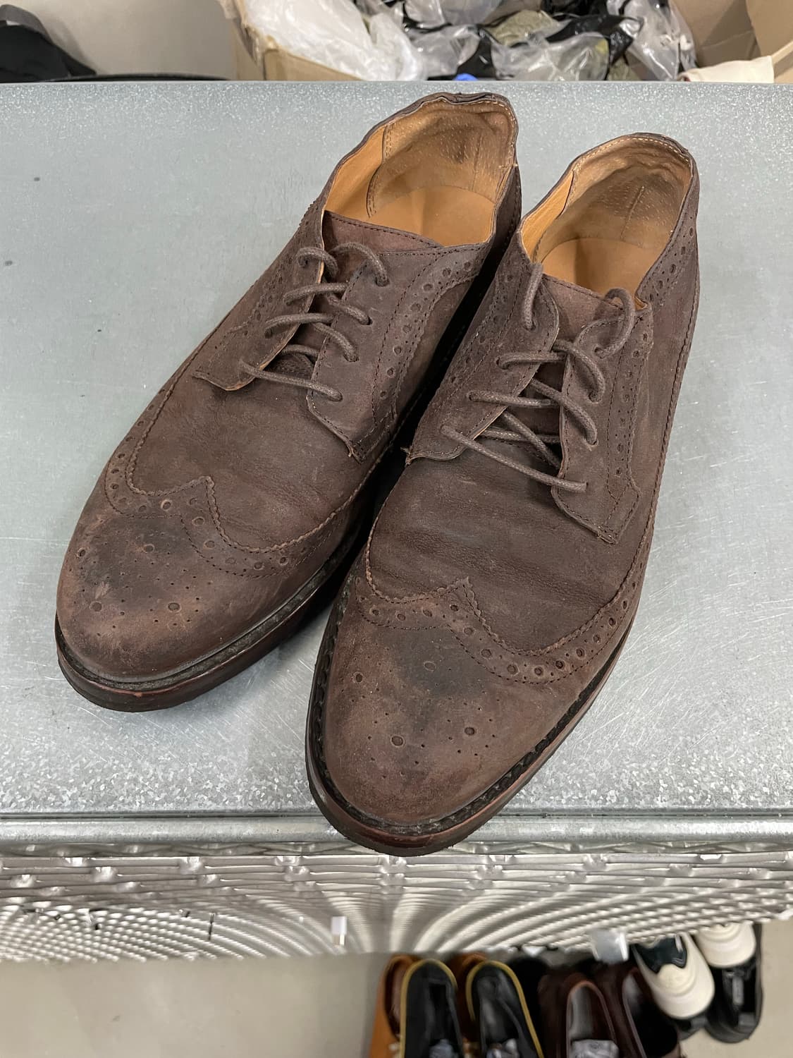 폴로 스웨이드 윙팁 더비 8.5 (gr-4389) 상품이미지2