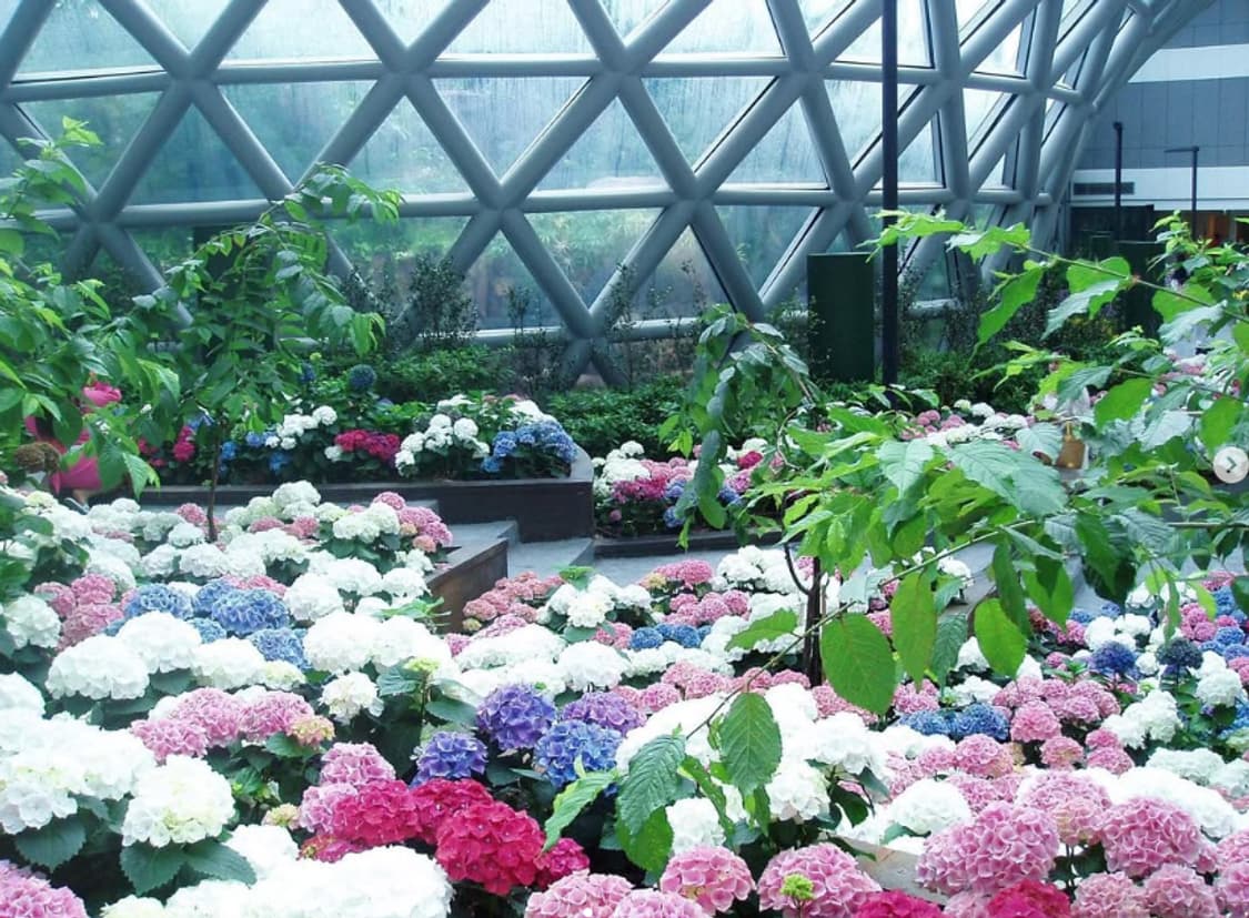 올림푸스 뮤 mini 미니 디카 (정찰가+즉시구매 우대) 상품이미지7