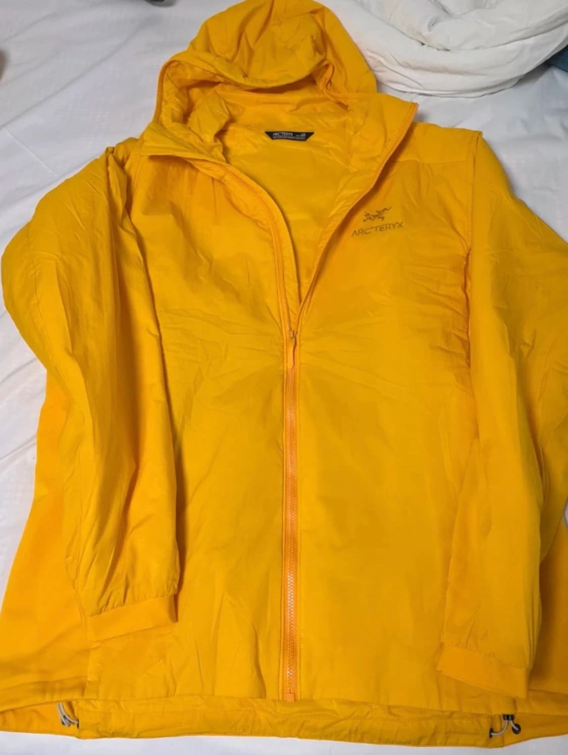 아크테릭스 아톰 후디 L 사이즈 상품이미지1