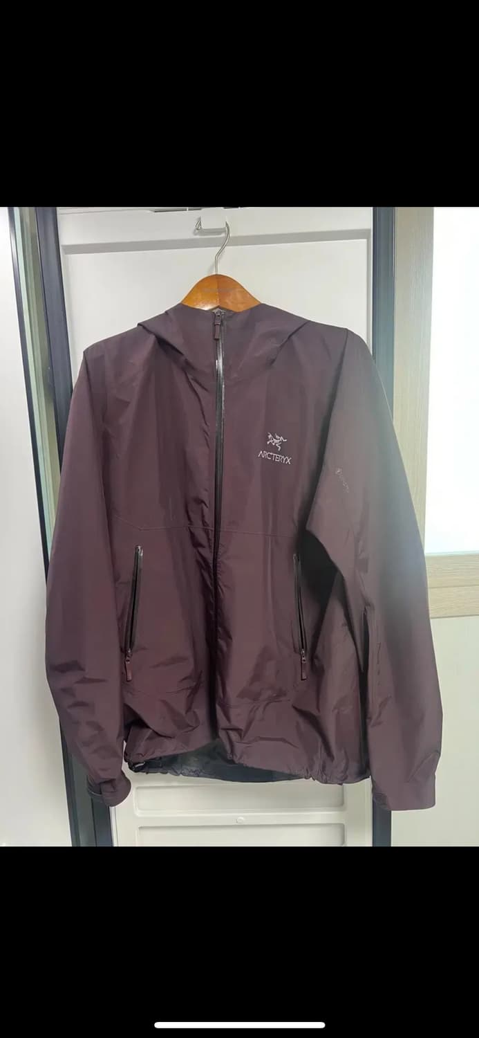 아크테릭스 제타SL 판티즘 L사이즈 김원중 착용 상품이미지3