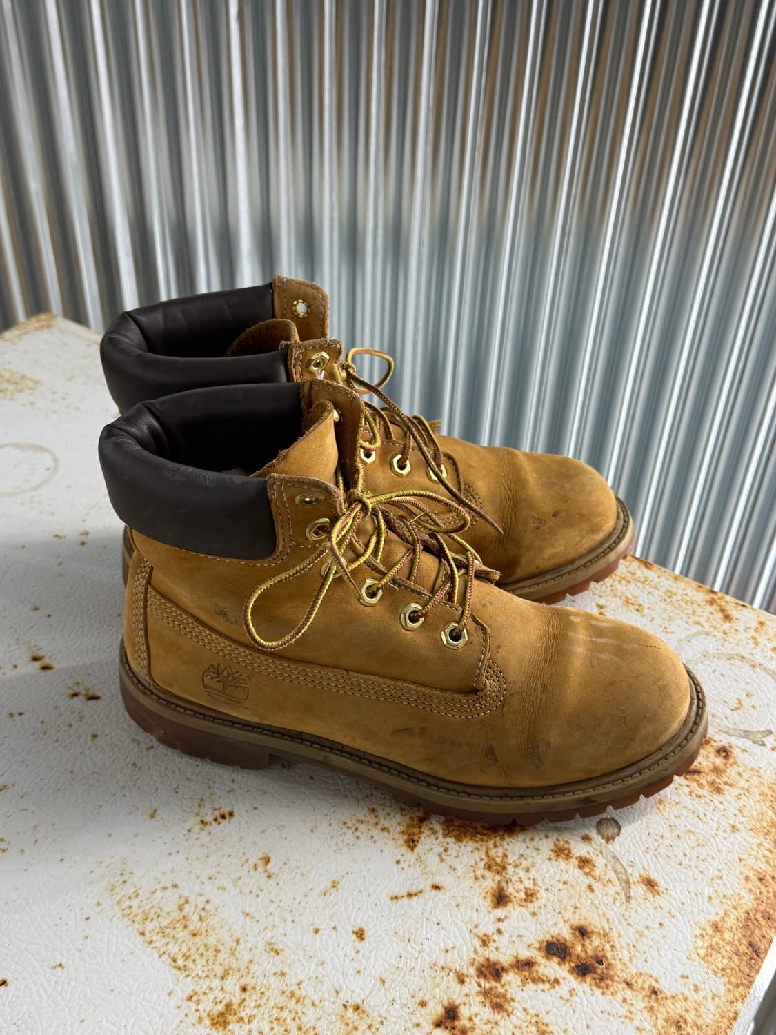 팀버랜드 6인치 프리미엄 워터프루프 위트 누벅 부츠 (230-240) 상품이미지5