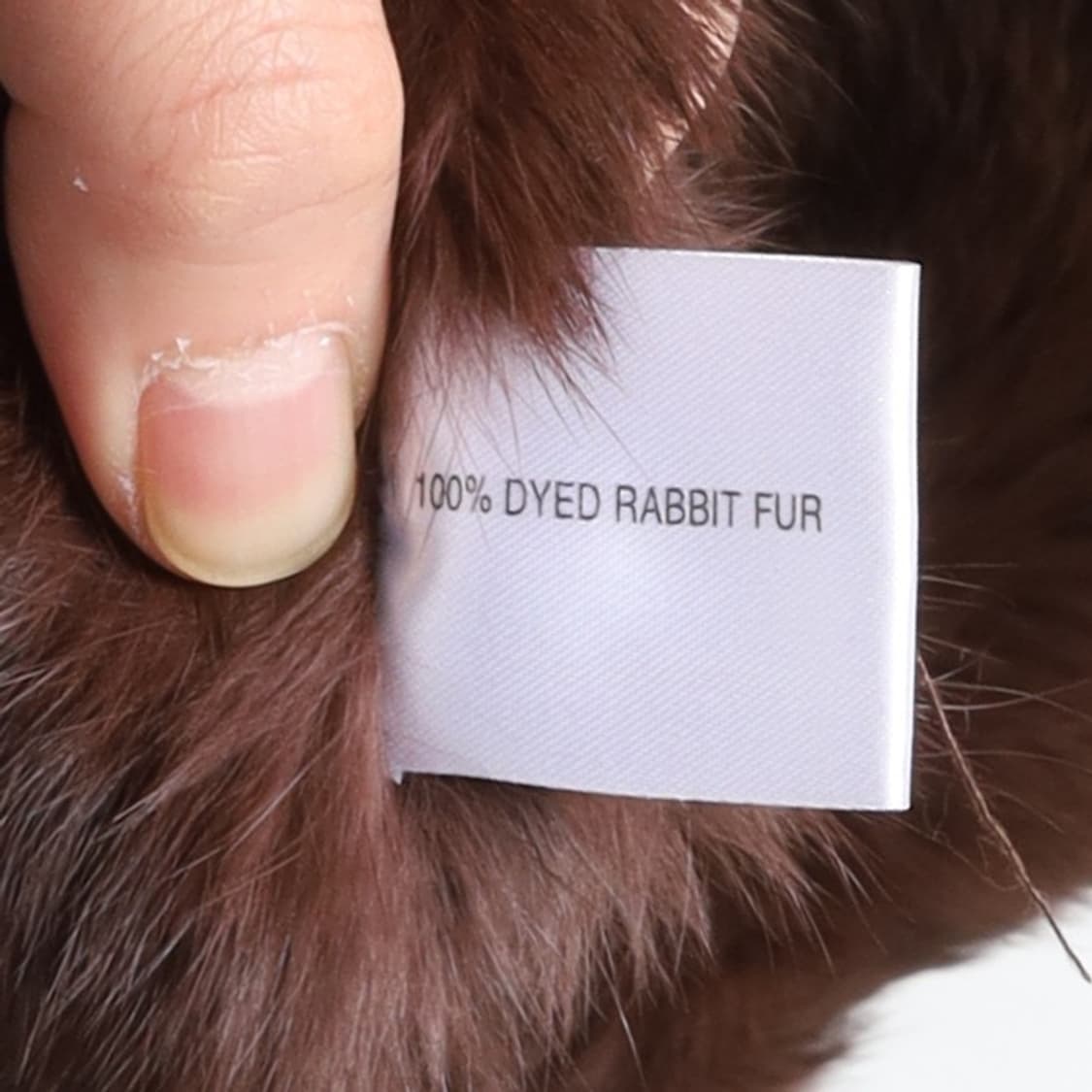 슈가 로즈 Sugar Rose Rabbit Fur Jacket
 상품이미지8