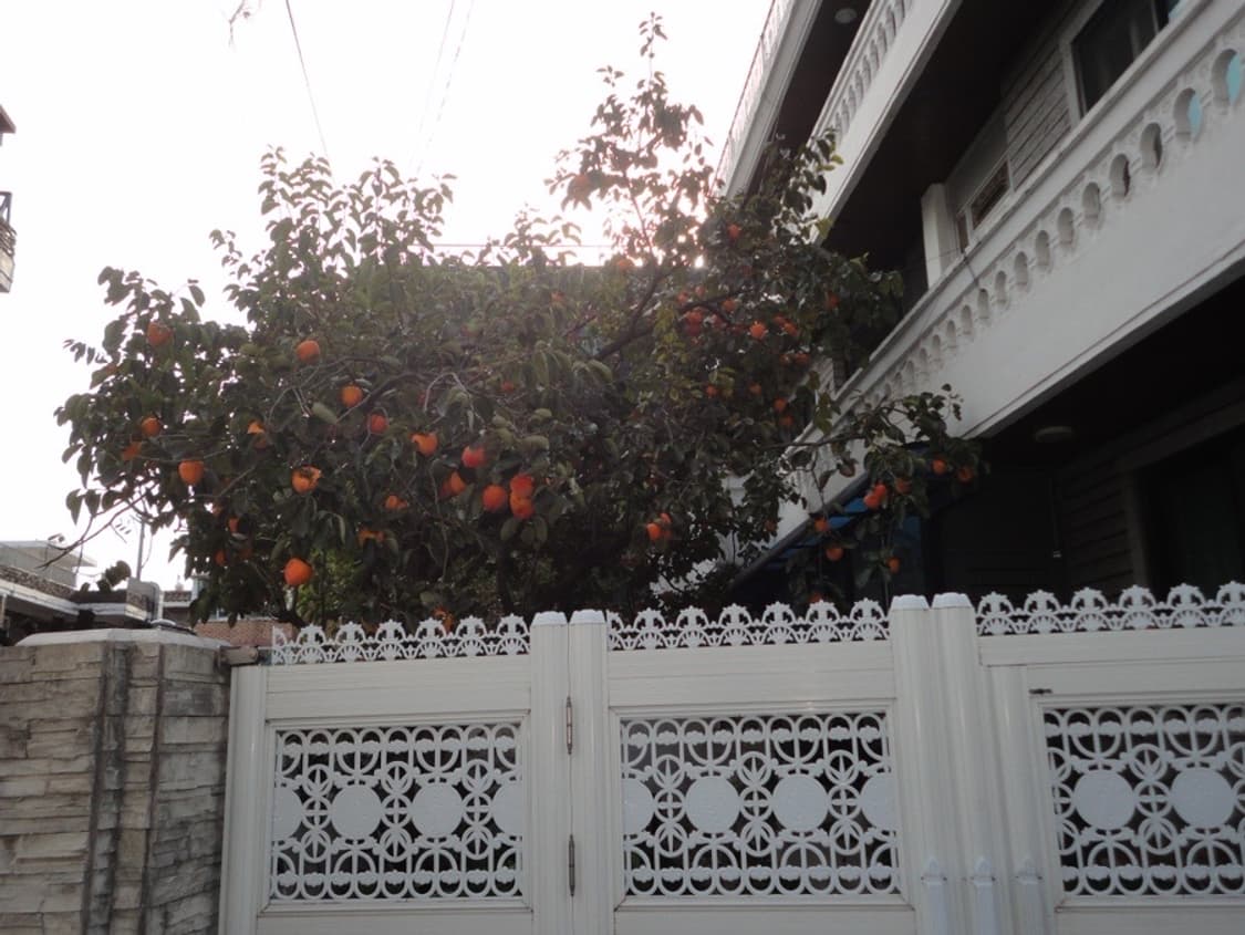 디지털 카메라 소니 사이버샷 dsc-w220 상품이미지7