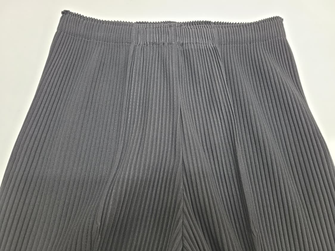 Pleatsme 플리츠미 밴딩 팬츠 / 여 FREE 블랙
 상품이미지3