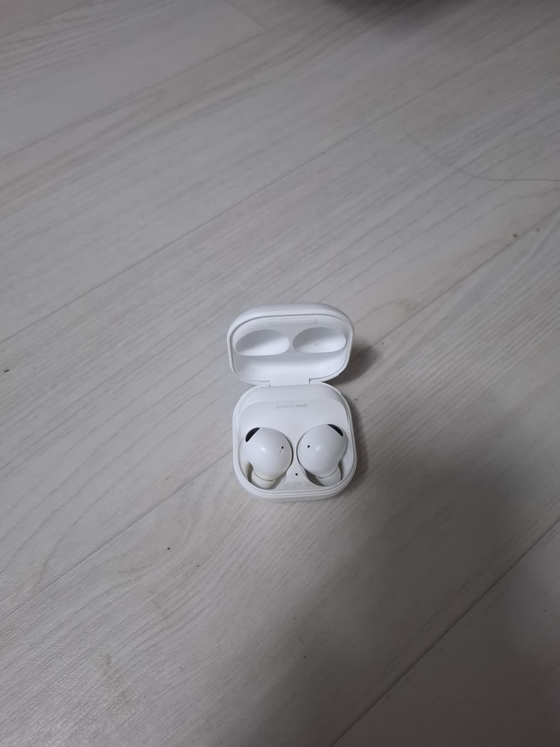 삼성 갤럭시 버즈2 프로 상품이미지2