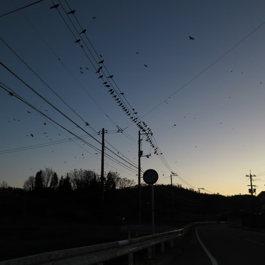 캐논 파워샷 Canon PowerShot N2 화이트 상품이미지4