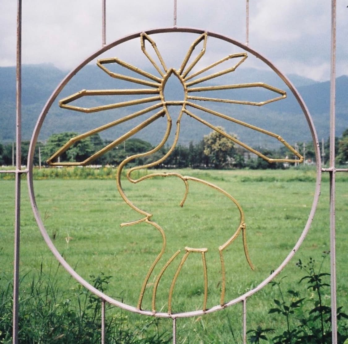 Rollei prego 125 롤라이 프레고 125 필름카메라 풀박스 상품이미지8