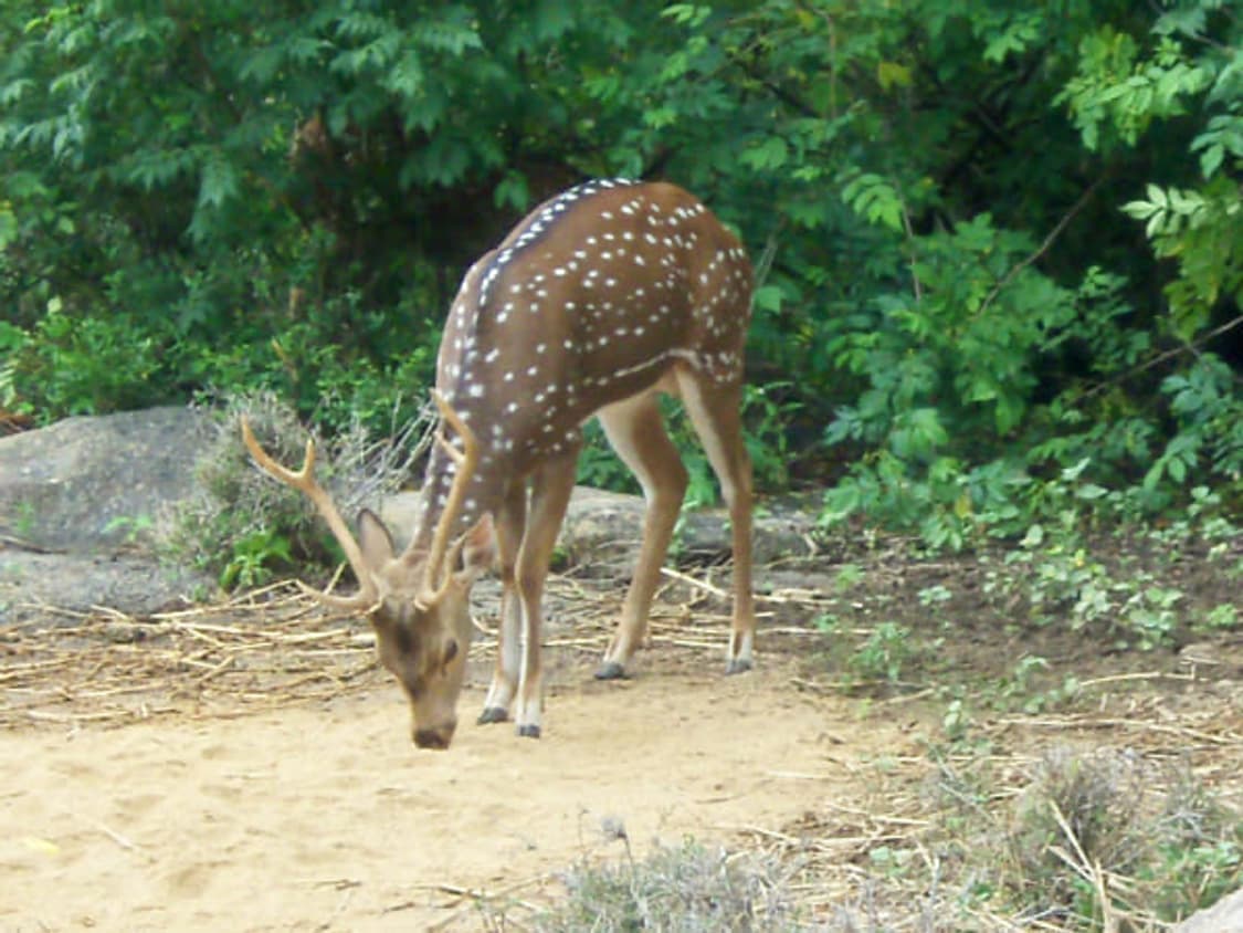 풀박) Kodak EasyShare C142 코닥 이지쉐어 디카 상품이미지9