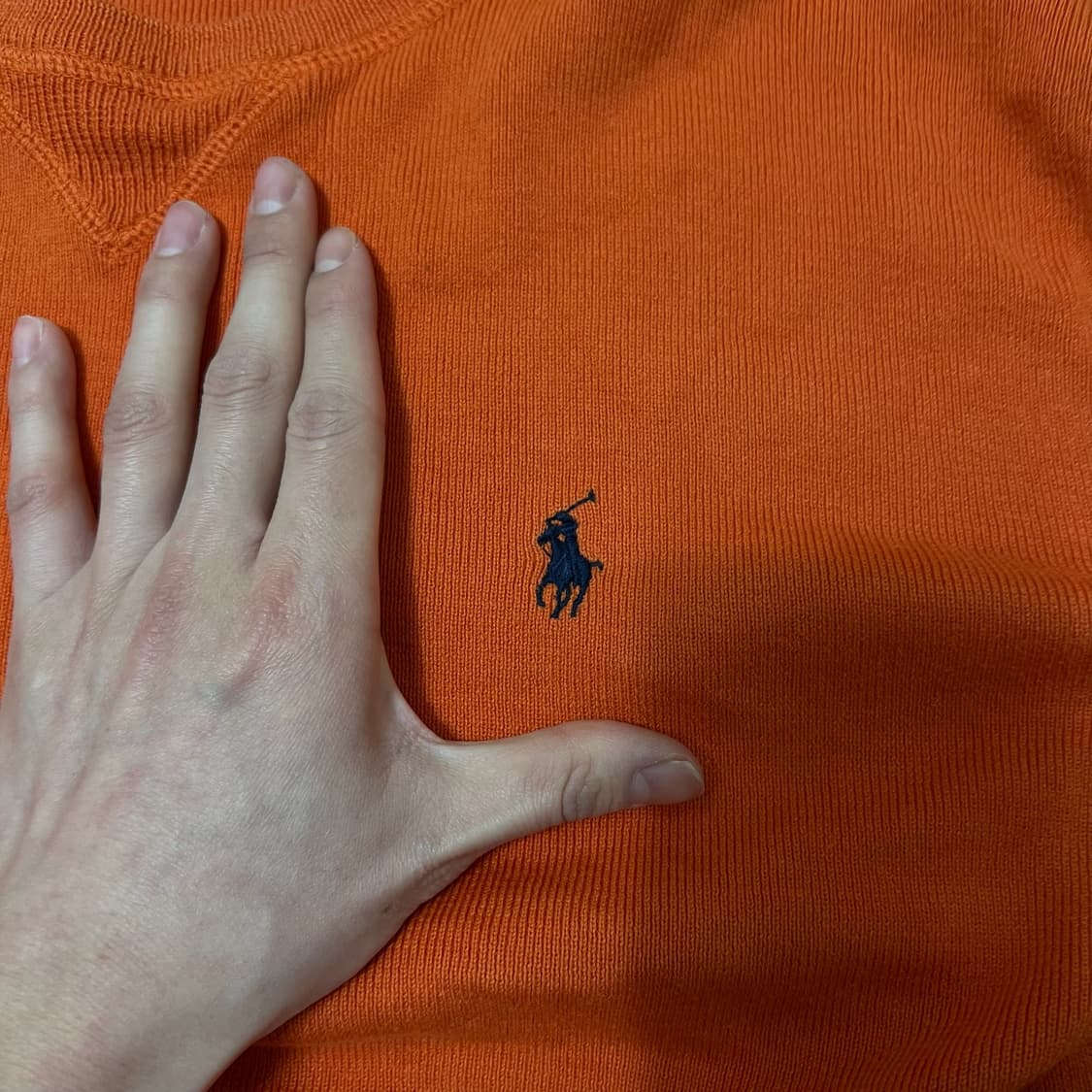폴로 랄프로렌 코튼 브이넥 니트 S/90  상품이미지3
