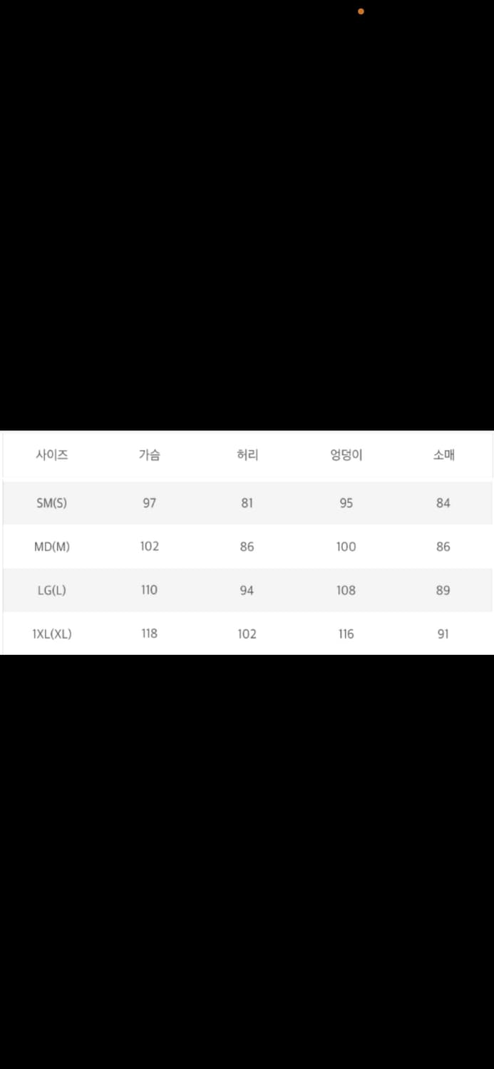 🔥[정품/새상품]🔥 아크테릭스 반팔 남녀공용 2 colors 상품이미지10