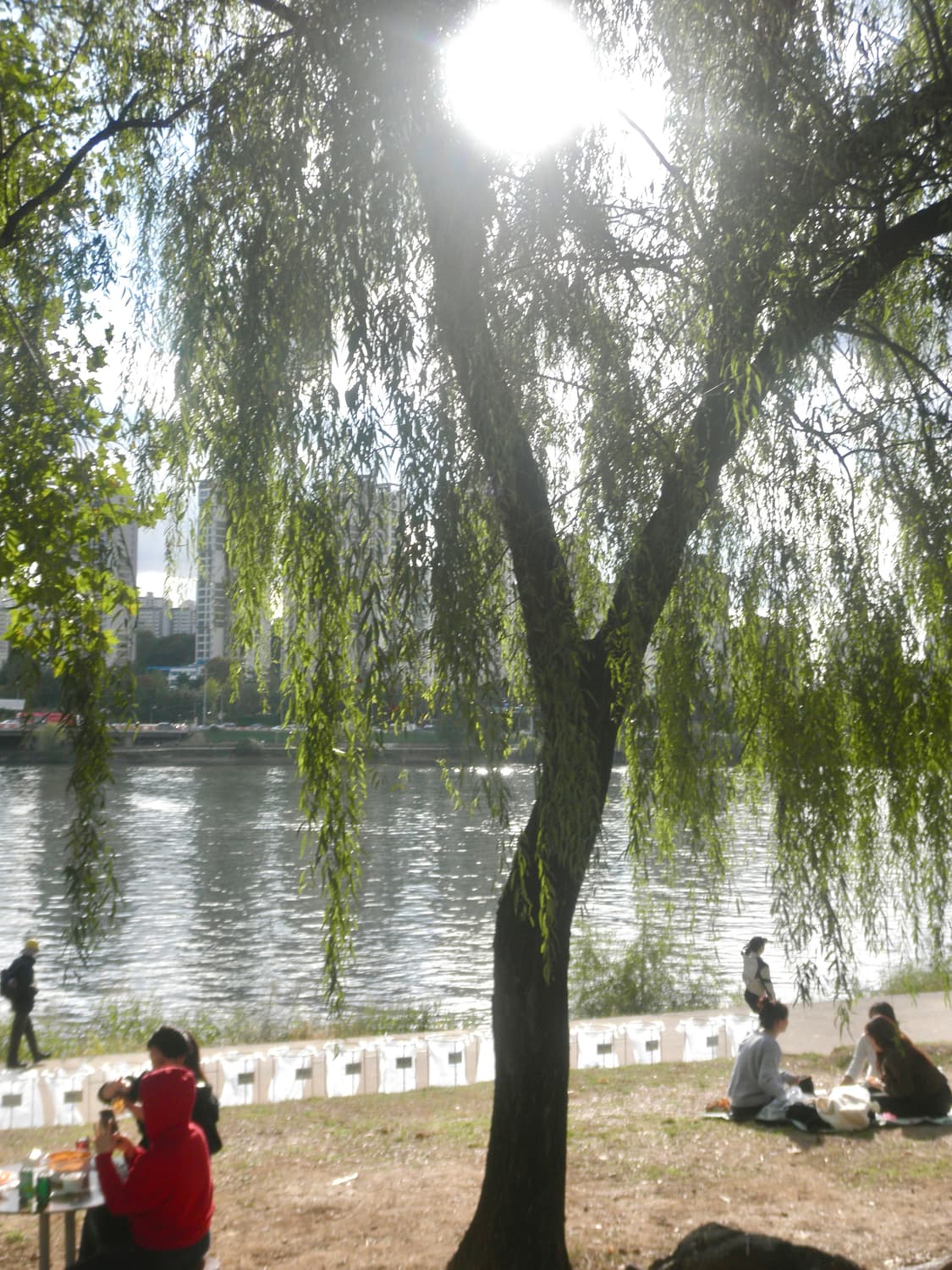 소프트포커스&초희귀!) Olympus VG-120 디카 카메라 상품이미지3