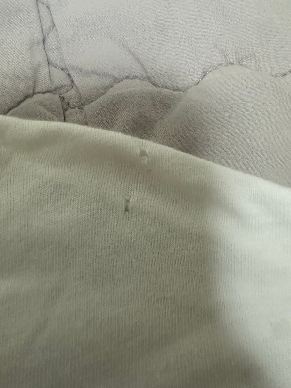 L) 테틀리 티셔츠 90's 싱글스티치 상품이미지5