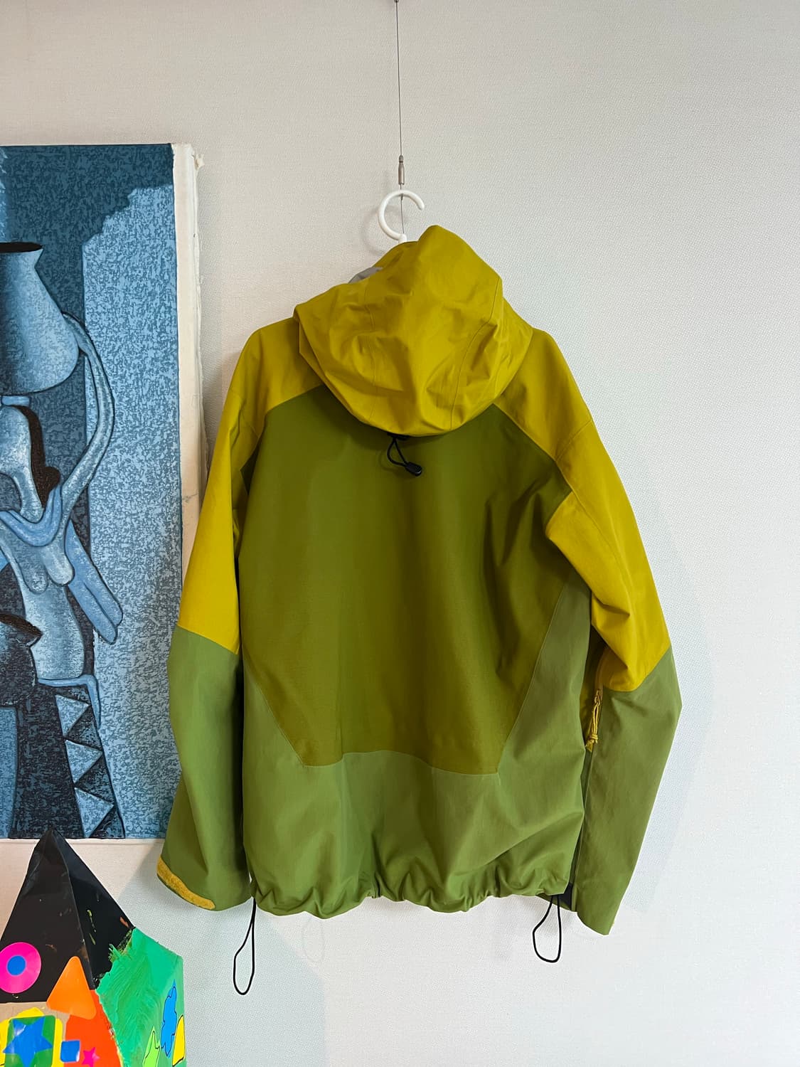 M) 아크테릭스 사이드와인더 SV 다크시트러스 2006 빈티지 상품이미지6