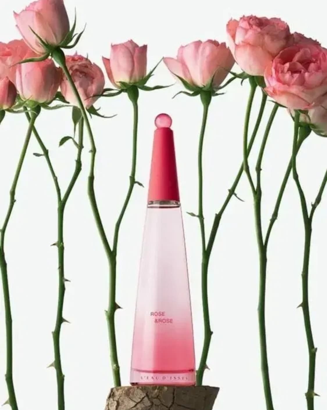 이세이미야케 로디세이 로즈앤로즈 오드퍼퓸 인텐스 90ml 상품이미지2