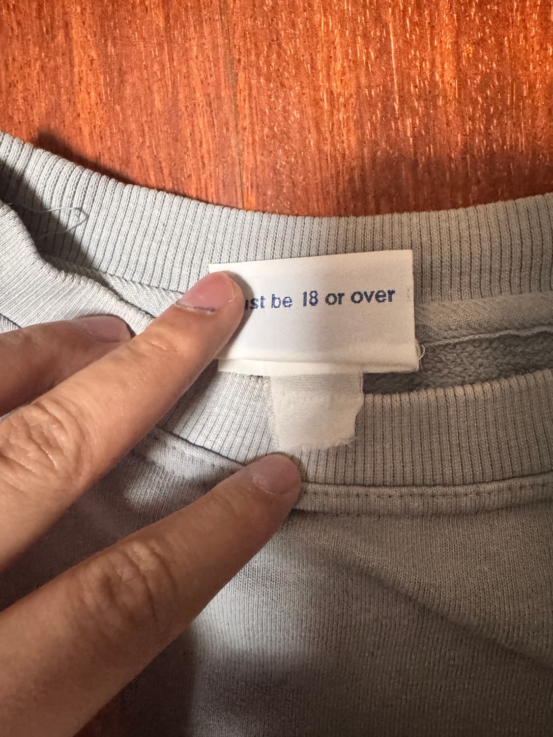 [XXL] 90s 폰스타 PornStar 스웻셔츠 상품이미지3