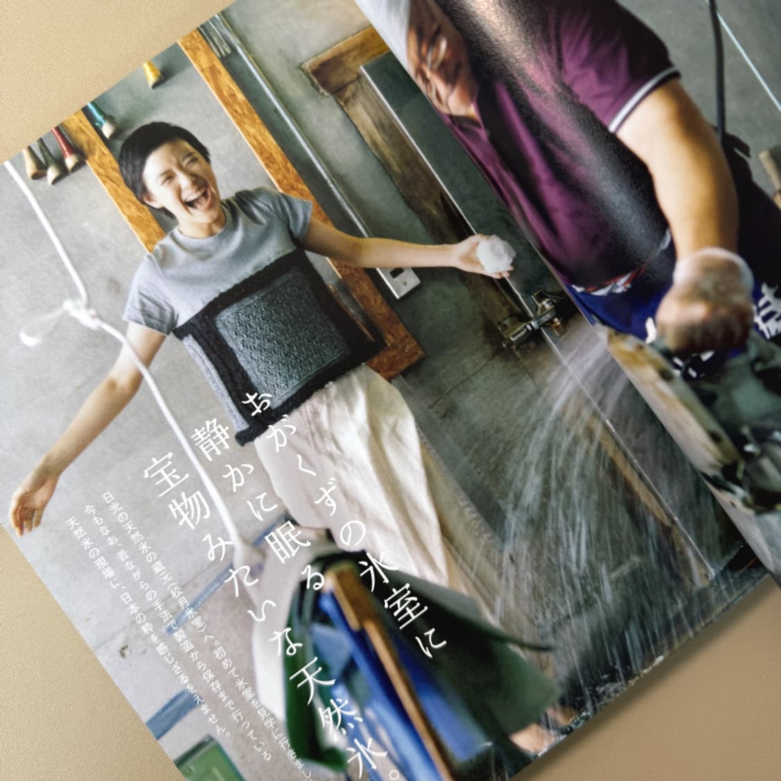 아오이 유우 오늘도 빙수 사진집 포토북 화보집 일본 배우 에세이 상품이미지2