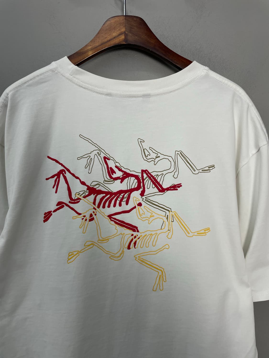 아크테릭스 아크멀티 버드 화이트 반팔 H2020 상품이미지6