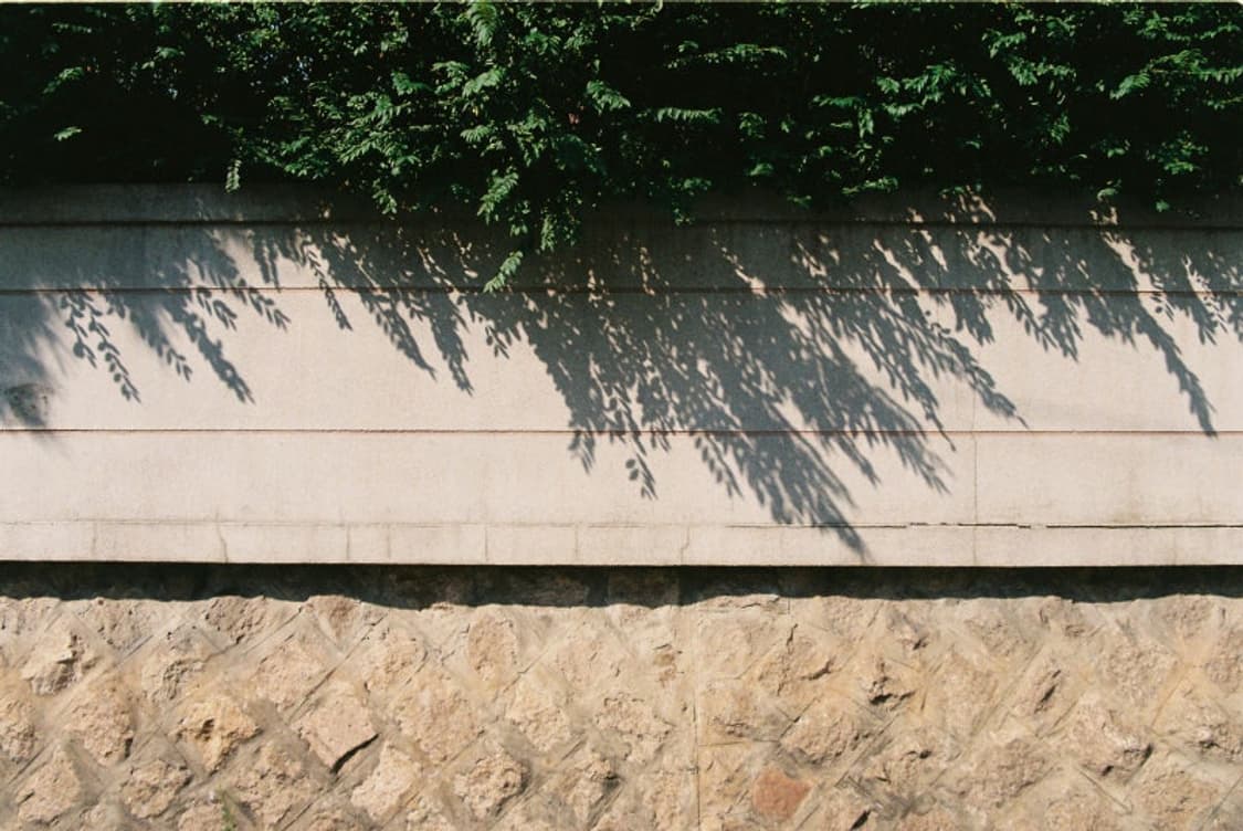 치논 제네시스2 필름카메라(빈티지 카메라) 상품이미지7