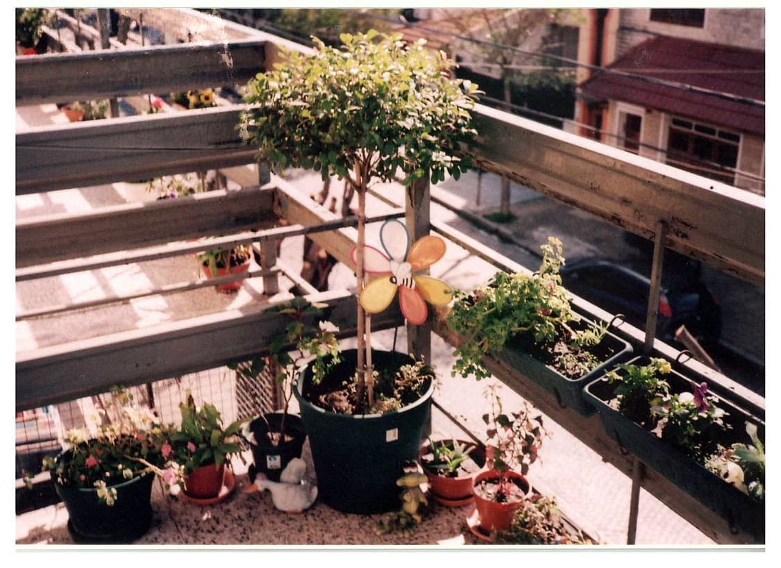 작례O 마지막 후지카 데이트 필름카메라 빈티지 필카 상품이미지4