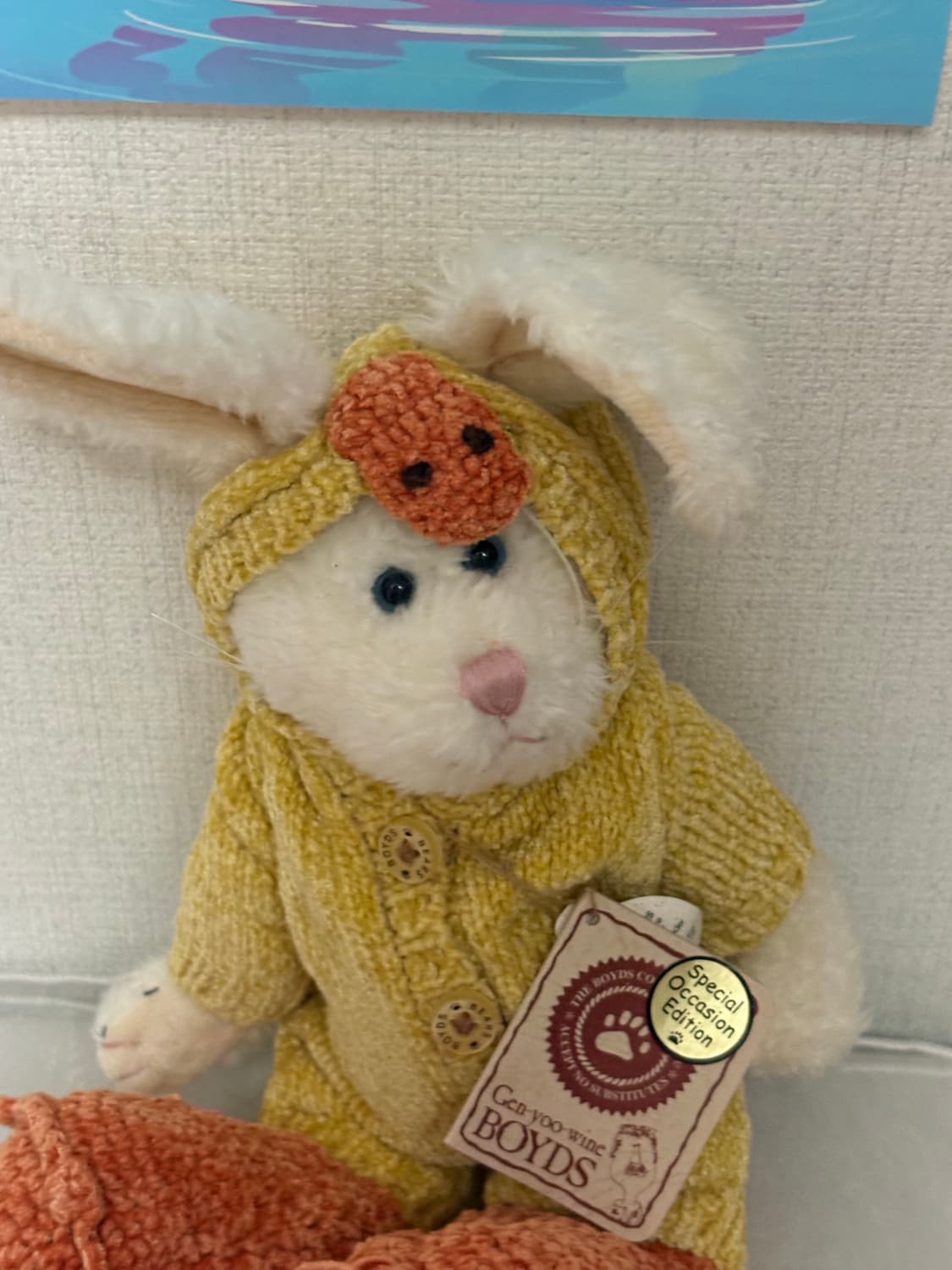 보이즈베어 상품이미지2