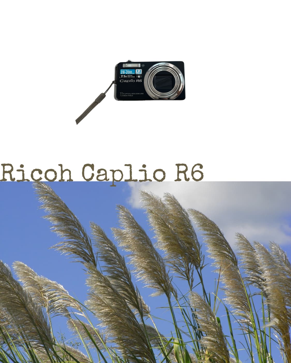 Ricoh Caplio R6 상품이미지1