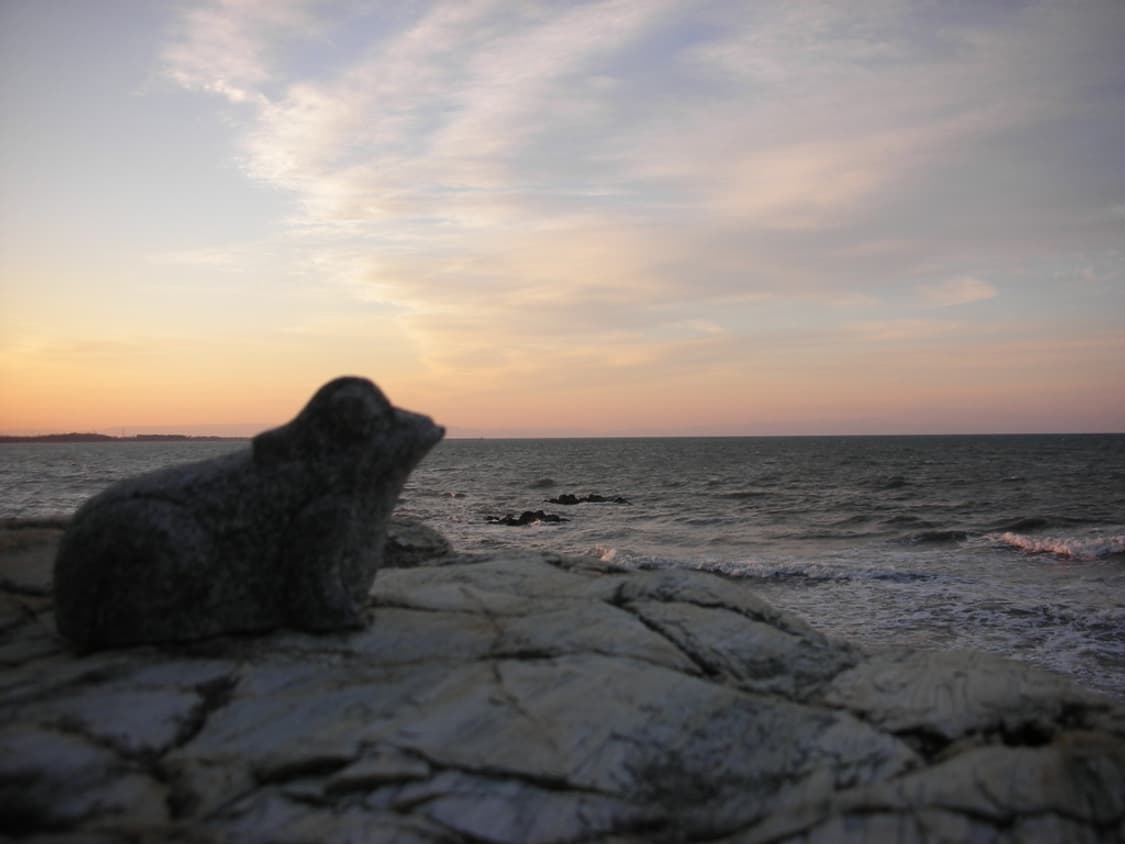 니콘 쿨픽스 Nikon Coolpix S5 화이트 상품이미지3