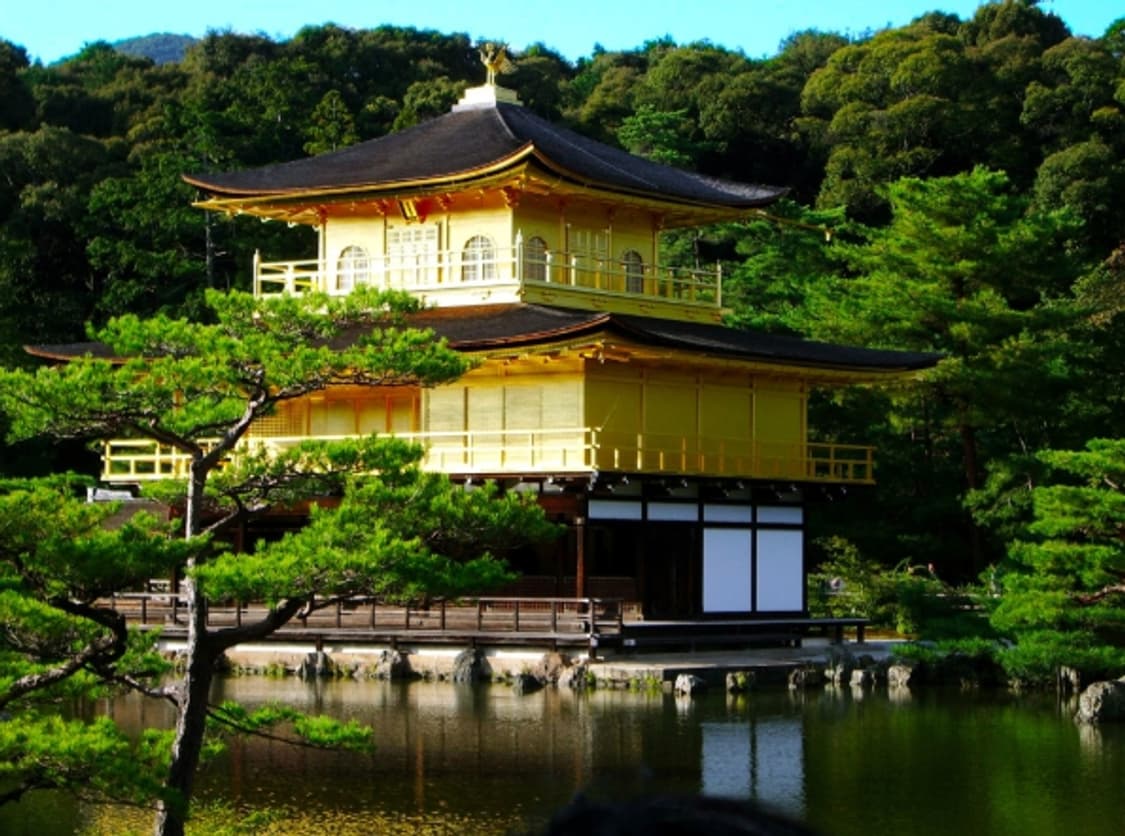 (신품급, 박스셋) 펜탁스 옵티오 S50 카메라 상품이미지10