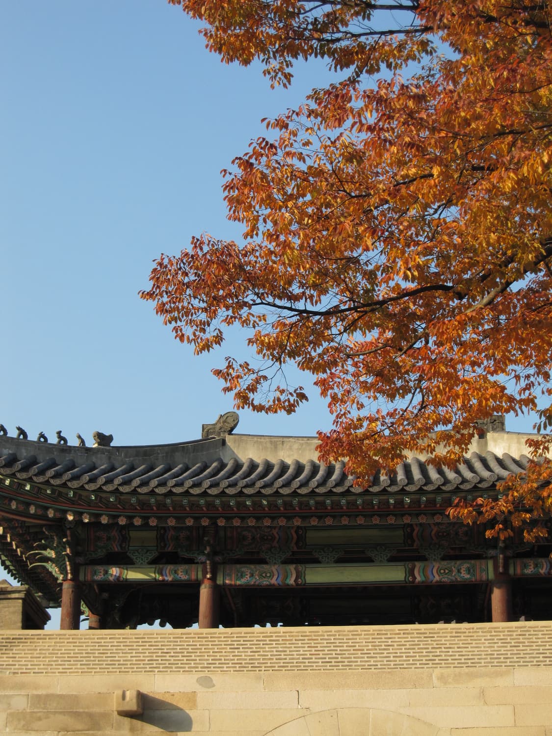 캐논 ixus 110 IS 한국어지원 상품이미지8