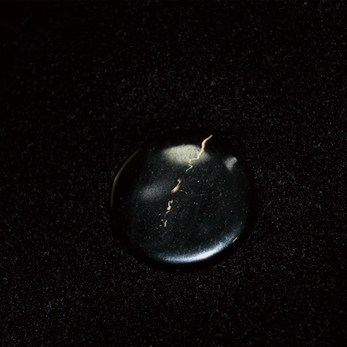 MARINA RINALDI 울캐시미어발마칸코트 상품이미지7