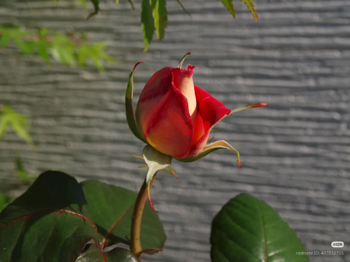 올림푸스 E-420 상품이미지6