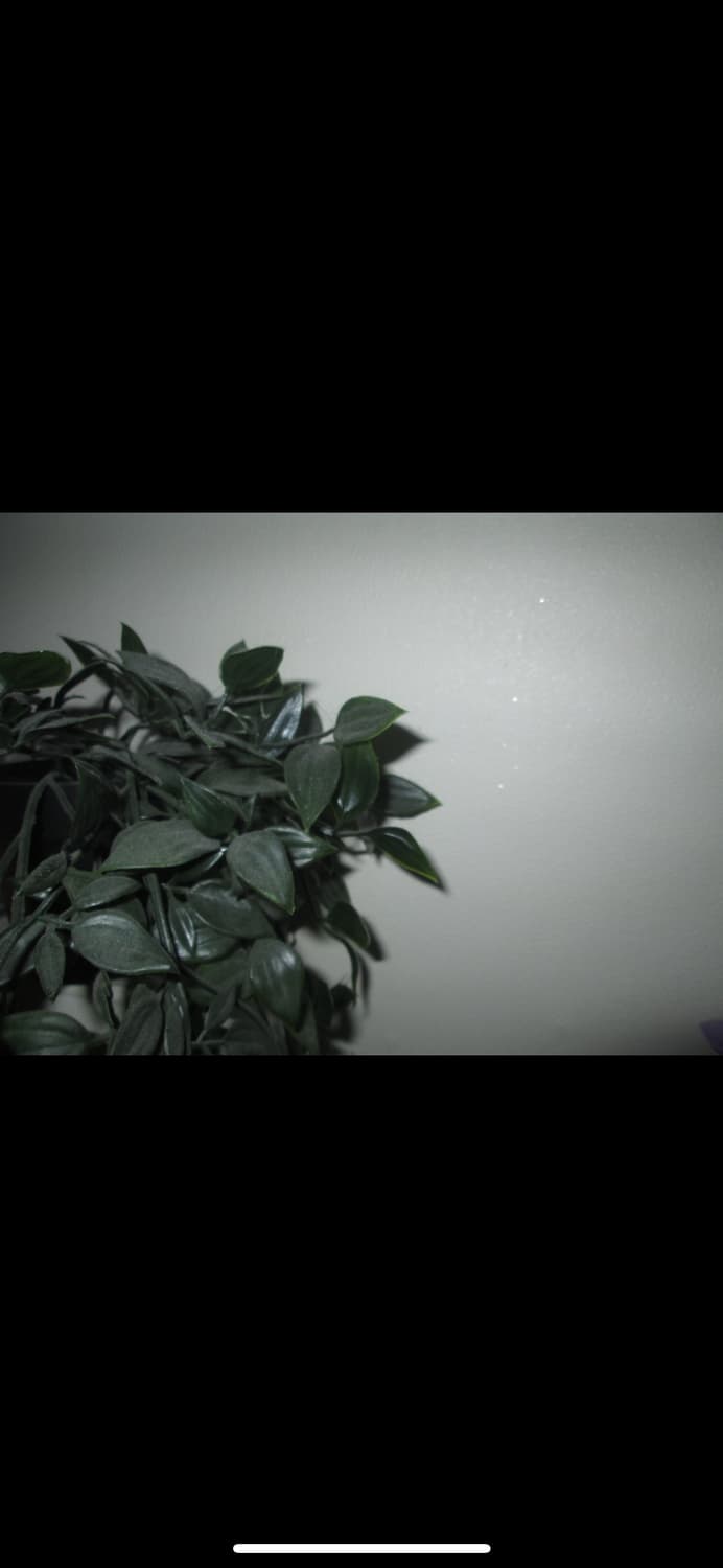 캐논 PowerShot A2400 IS / 슬림한 데일리 감성 디카 상품이미지5